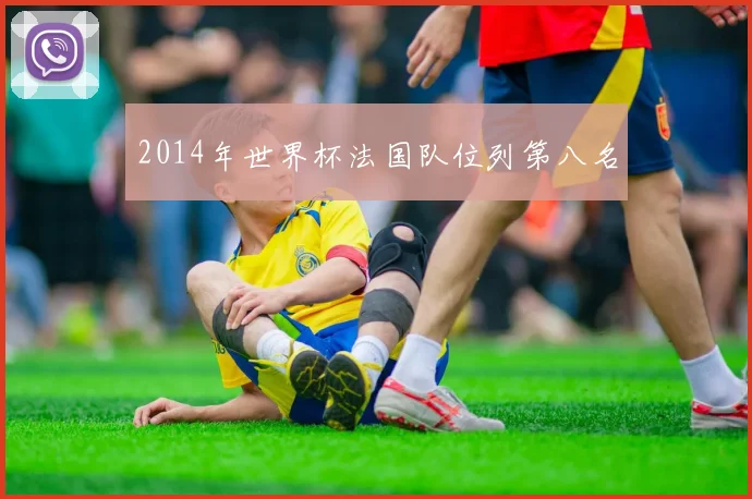 2014年世界杯法国队位列第八名