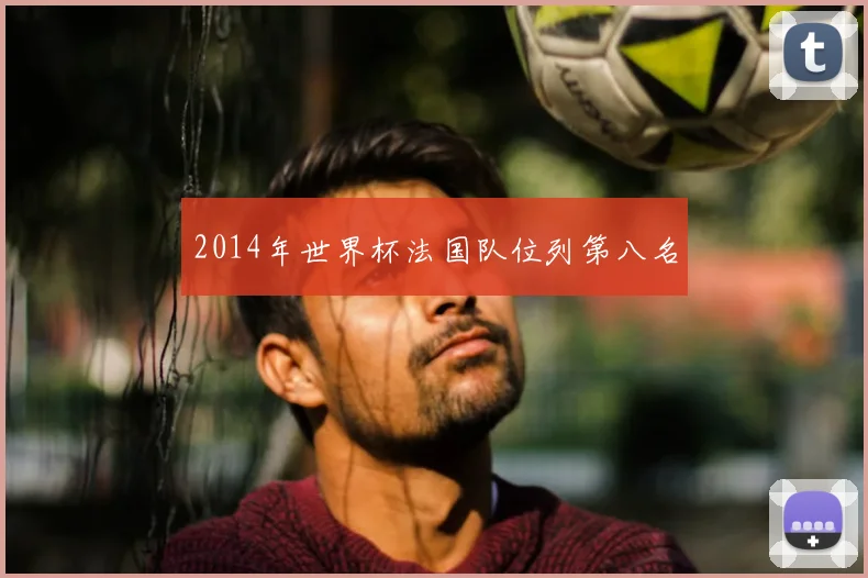 2014年世界杯法国队位列第八名