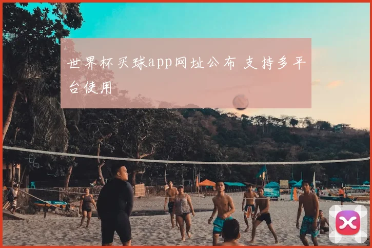 世界杯买球app网址公布 支持多平台使用